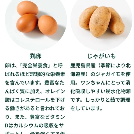 Buddycare バディフード H02/Sac.care 早期腎機能サポート