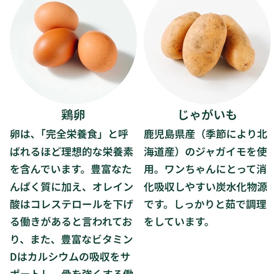 693e94f6243a756368602a77