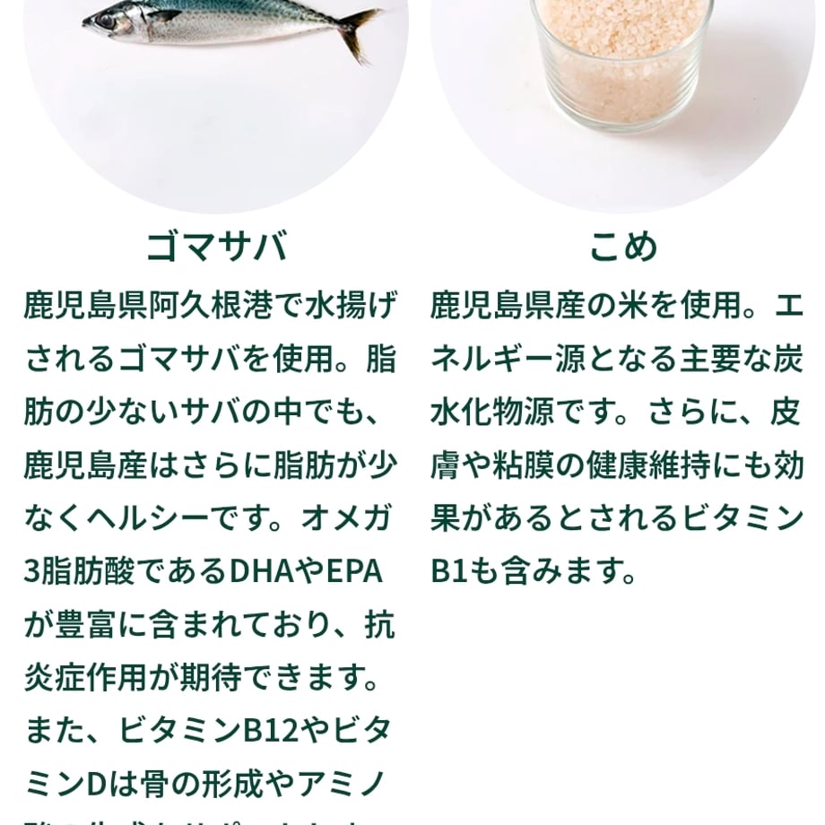 693e94f6243a756368602a77