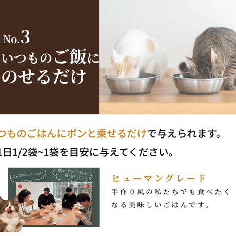 SILKFULL シルクフルキャット レトルト カツオ味 35g 猫ちゃんの腎臓疾患の予防に！