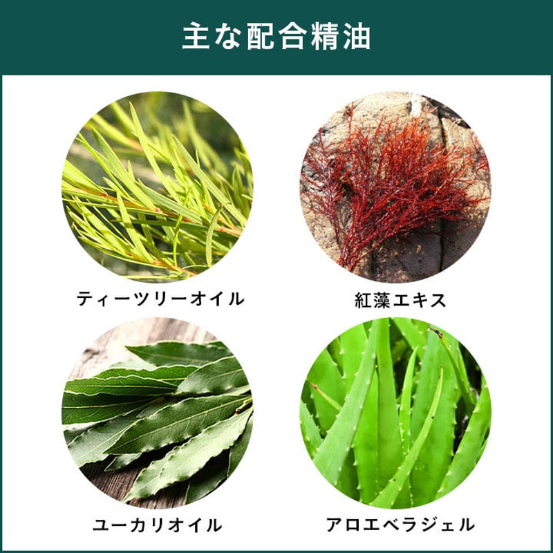 APDC ティーツリーシャンプー/コンディショナー お試し100ml/250ml