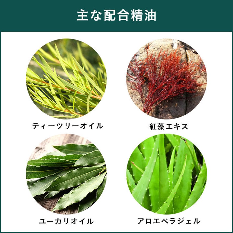 639c6da2a876db400d2bbabb