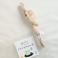 キウイキッチン KIWI KITCHEN チキン 900g フリーズドライ キウイキッチン ディナー チキン 900g フリーズドライ | 【グランマ