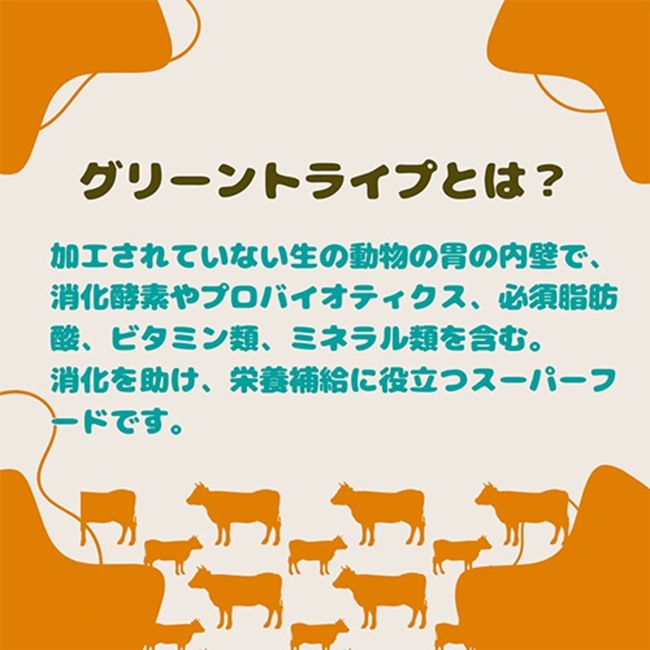 67e62da65d38e9688798f53a