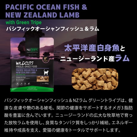 ★商品入れ替え fantasy world ニュートライプ フリーズドライキャットレシピ サーモンラム 15g/280g