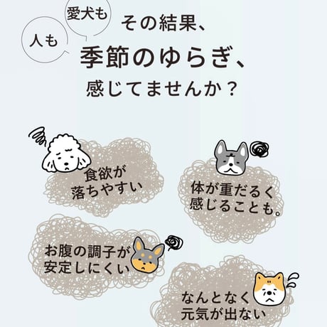 me&MOMMY ひとふりしょうがパウダー 15g