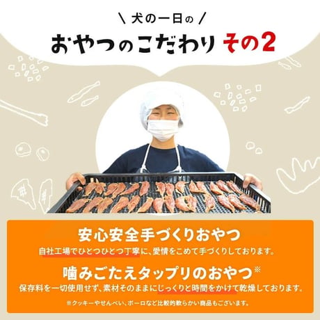 ★商品入れ替え 犬の一日  プレミアム瀬戸内ブリチップス  15g