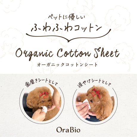 OraBio オーラバイオ オーガニックコットン 60枚入 使いやすいサイズと安全な綿100%！