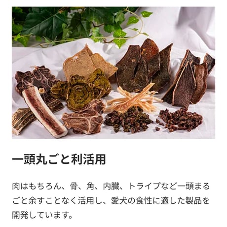 Rokka エゾシカ肉のスライスカット/ミンチ 300g/1kg 最高品質の生肉だけ！トッピングに最適！