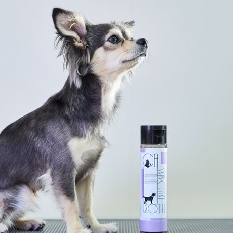 CA スキンケアセオリー デイリー高濃度泡保湿剤 150ml