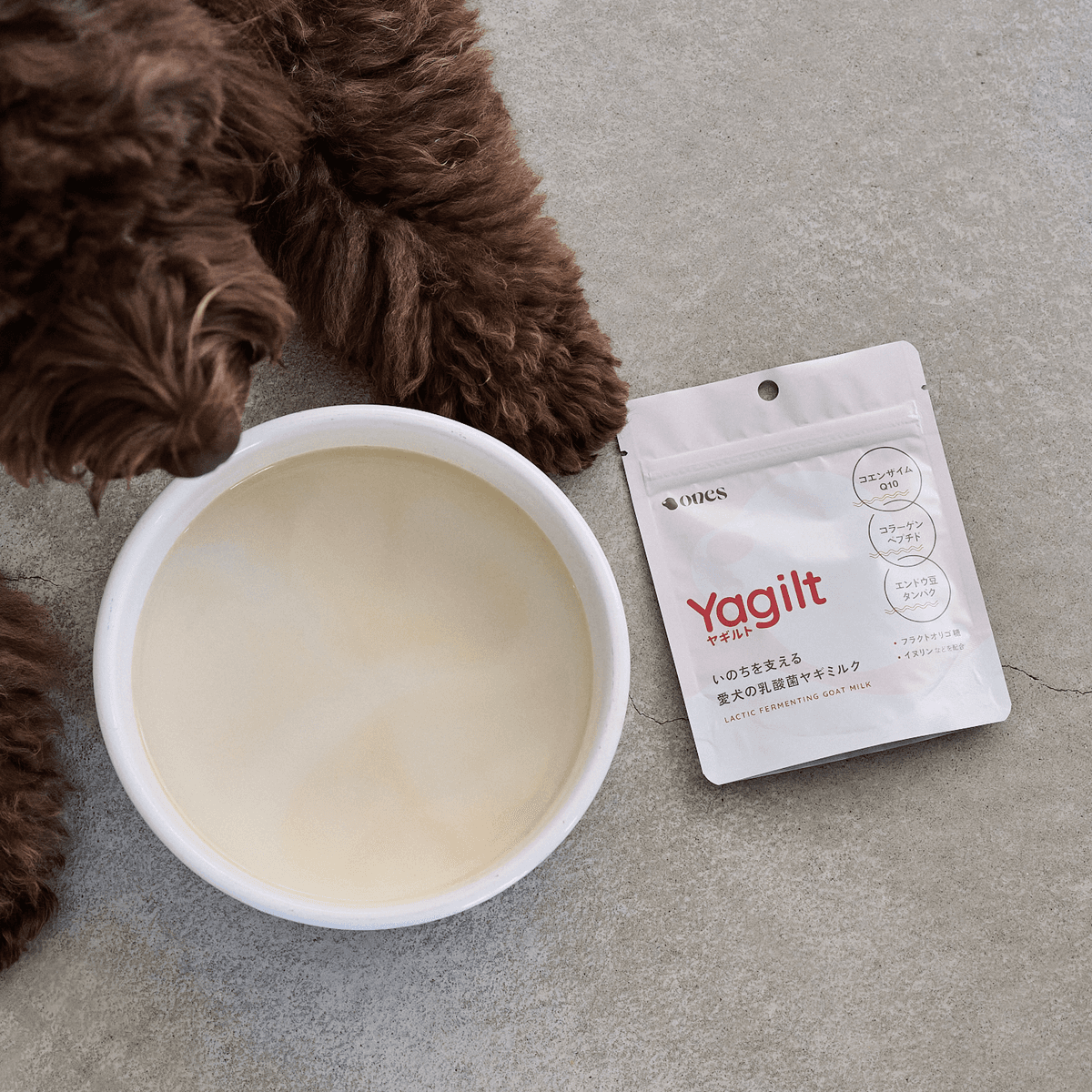 ones Yagilt いのちを支える愛犬の乳酸菌ヤギミルク 40g | ー