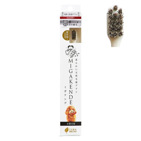 ミガケンデ歯ブラシ 各種