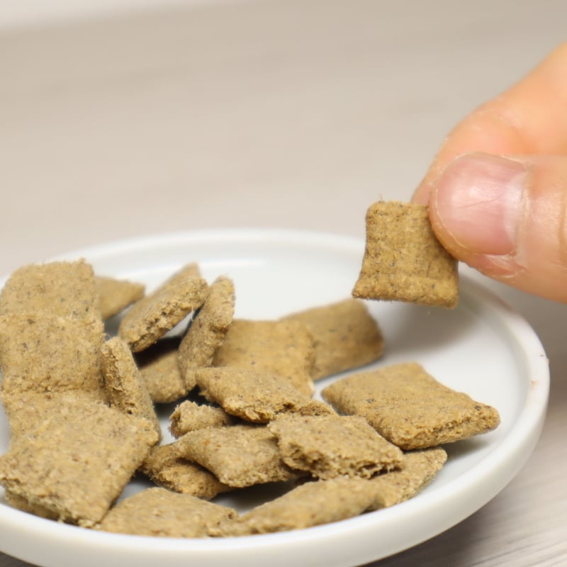 SundayPets ジェントルベイク ワイルドサーモン with トライプ1.3kg