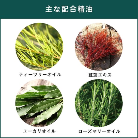 ★商品入れ替え APDC ティーツリーシャンプー/コンディショナー お試し100ml/250ml