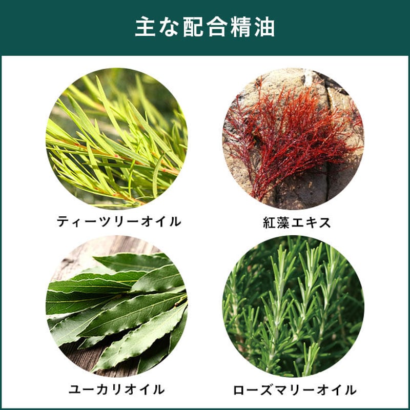 APDC ティーツリーシャンプー/コンディショナー お試し100ml/250ml