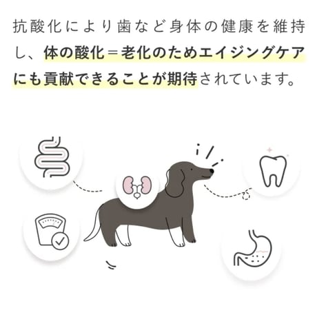 COZY MILK!  カラダシルク入りのフレッシュ甘酒 200g