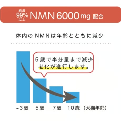 モアリッチ NMN Good 6000mg パウダータイプ 18g