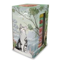 Terra Felis モノプロテイン 各種80g×5缶セット