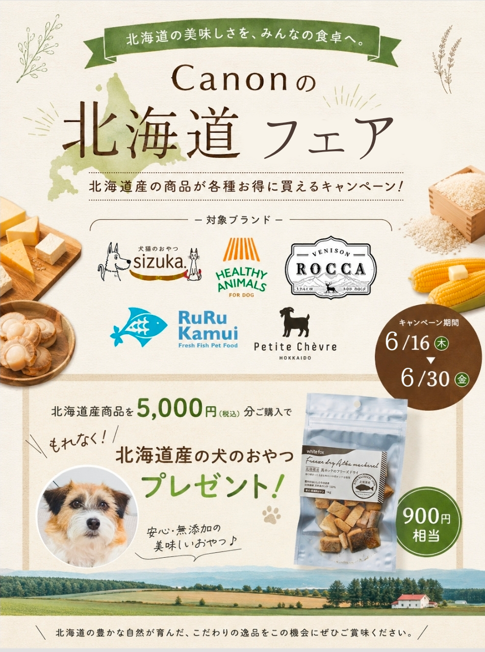 6月キャンペーン