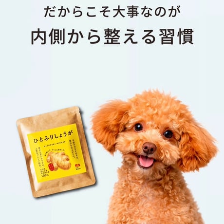 me&MOMMY ひとふりしょうがパウダー 15g