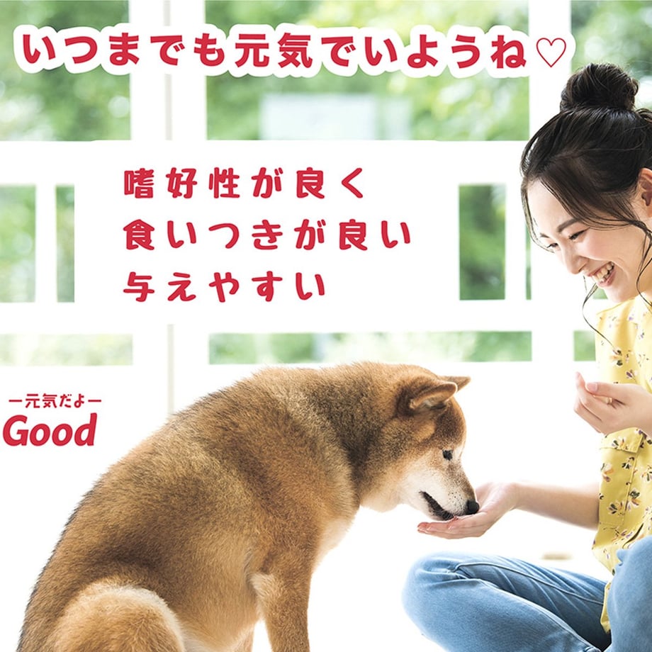 662ca1d1cb9db82c01f65bba