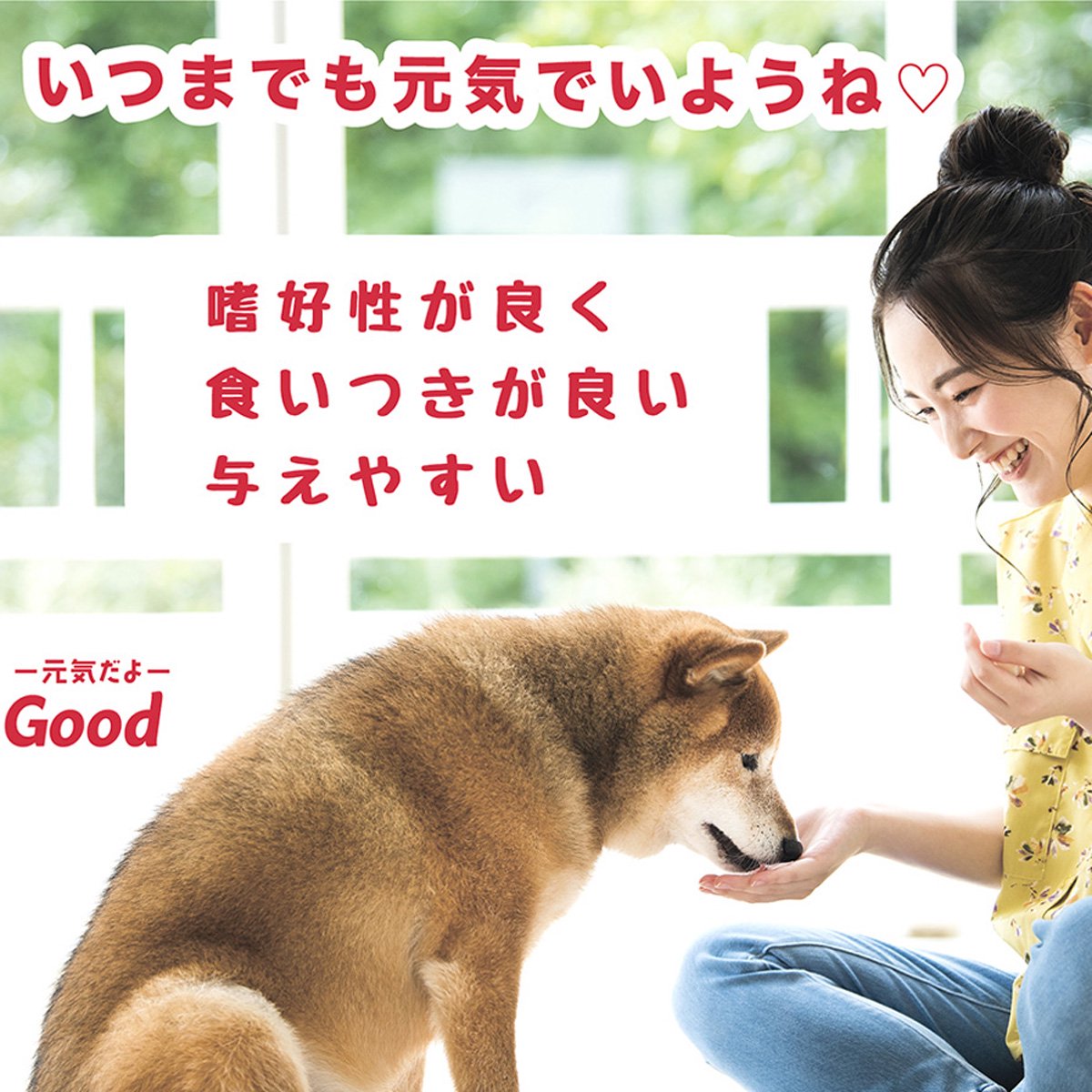 モアリッチ NMN Good 6000mg パウダータイプ 18g | ーCanon petl