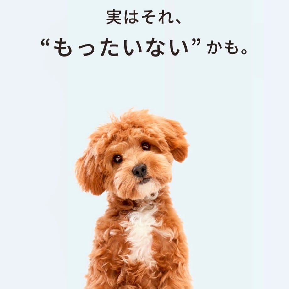 69f6f9dbd50198f4986a7f4c