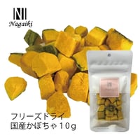 Nagaiki かぼちゃのフリーズドライ 10g
