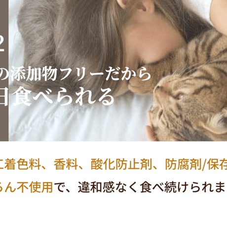 SILKFULL シルクフルキャット レトルト カツオ味 35g 猫ちゃんの腎臓疾患の予防に！
