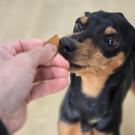 わんニャンかつお  かつおジャーキー 20g