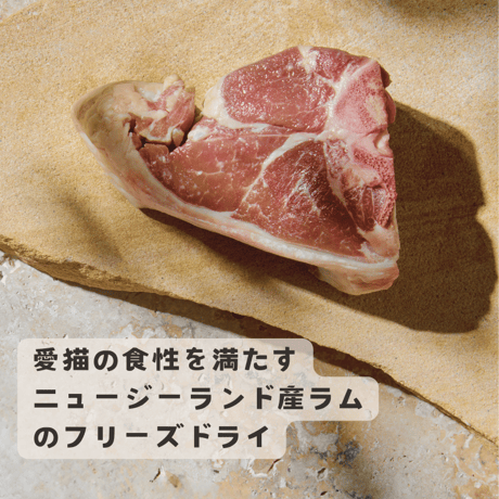 トリロジー パラマンディ(白身魚)＆ラムフリーズドライ 300g/800g
