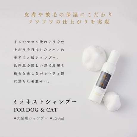 MIRAMEST ミラネストシャンプー 120ml /ローション 100ml