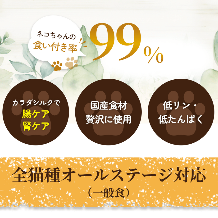 6a2a305db776cf3a956895c7