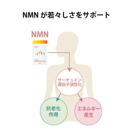 モアリッチ NMN ミライ 12000mg カプセルタイプ 90粒