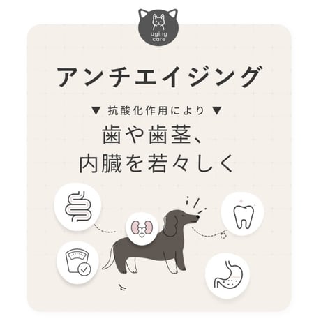 SILKFULL 老廃物の排出を助ける無味無臭の液体サプリ！ 7包/30包