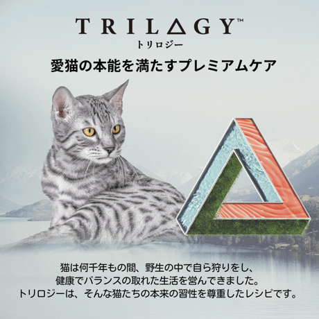 トリロジー パラマンディ(白身魚)＆ラムフリーズドライ 300g/800g