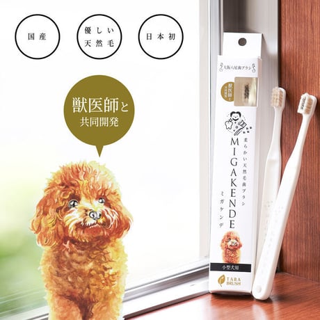 ミガケンデ歯ブラシ 各種