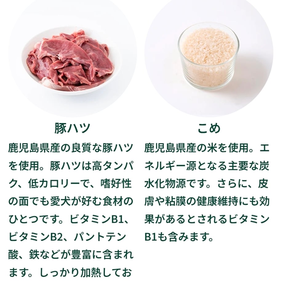 693e9001dbcf25022069d63b