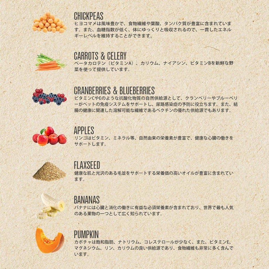 63c5487a91260a793086f370
