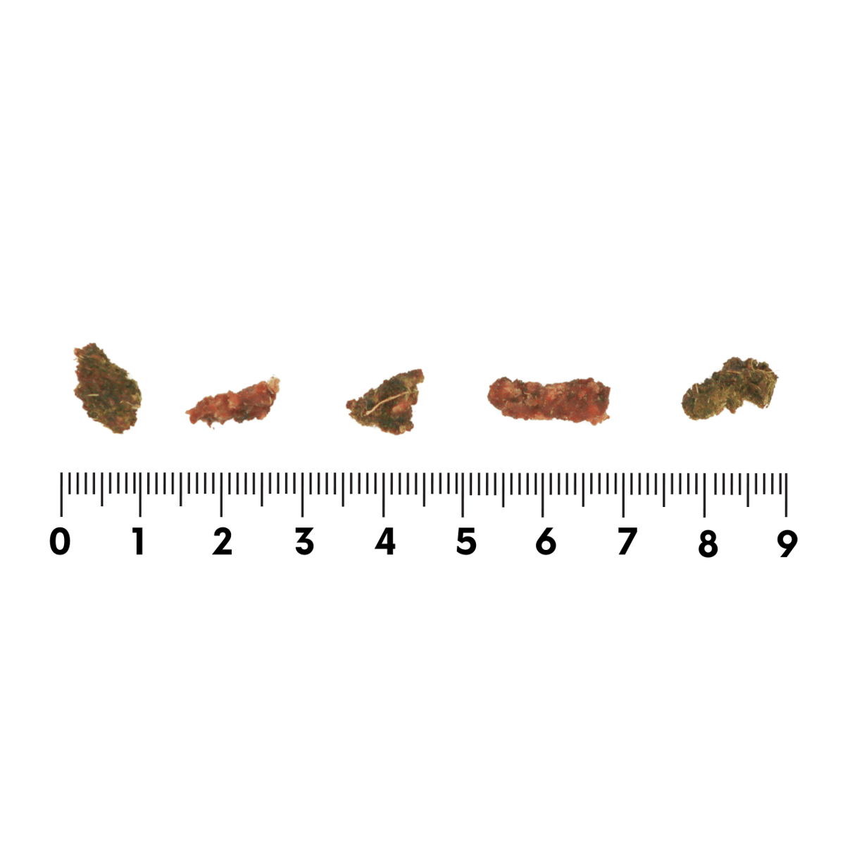 Rokka ロッカ エゾ鹿肉 トライプ＆ミートビッツ 100g | ーCanon petlif
