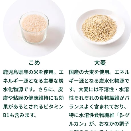 Buddycare バディフード H03/Hatsu.care  低脂肪