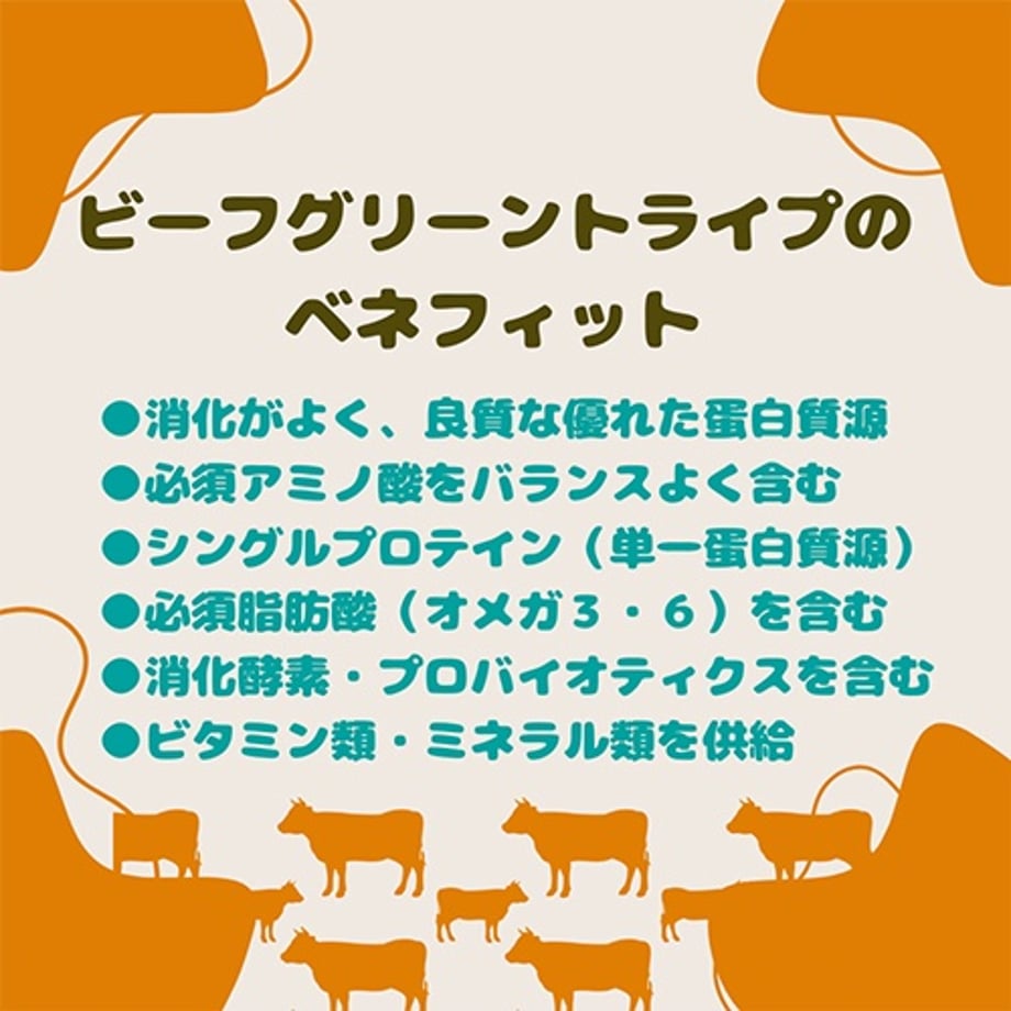 67e62da65d38e9688798f53a