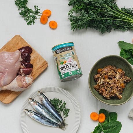 Wild BALANCE フィッシュ＆ターキーフード 400g  BARFの専門店が作ったウェットフード！