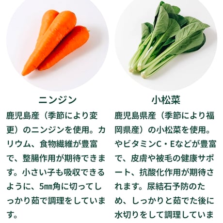 Buddycare バディフード H02/Sac.care 早期腎機能サポート