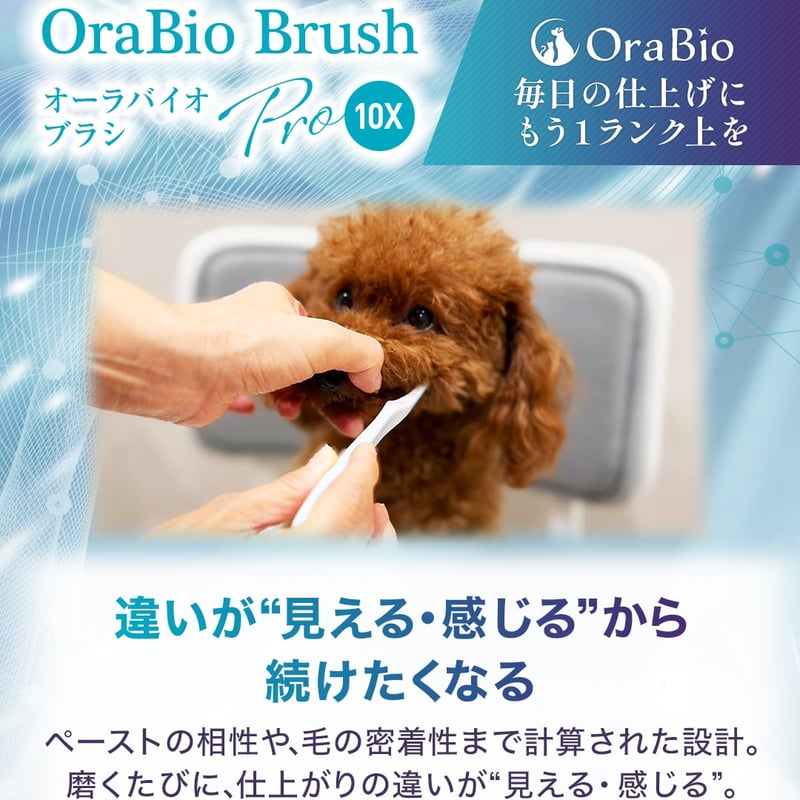 OraBio オーラバイオブラシ PRO 10X 歯科衛生士が推奨するプロ仕様の犬