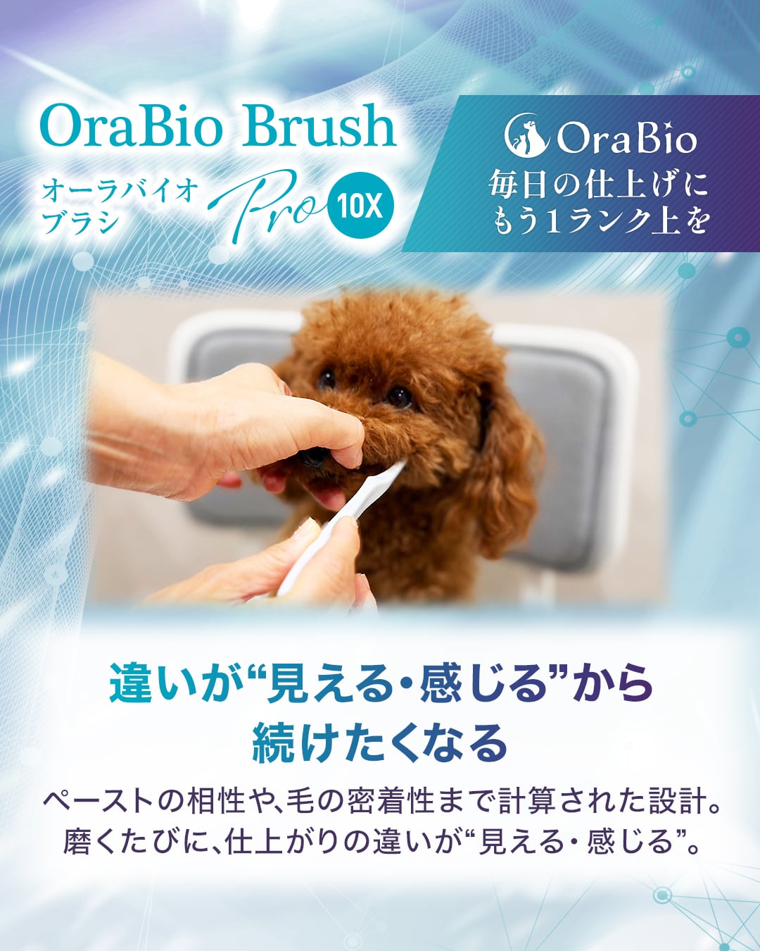 OraBio オーラバイオブラシ PRO 10X 歯科衛生士が推奨するプロ仕様の犬