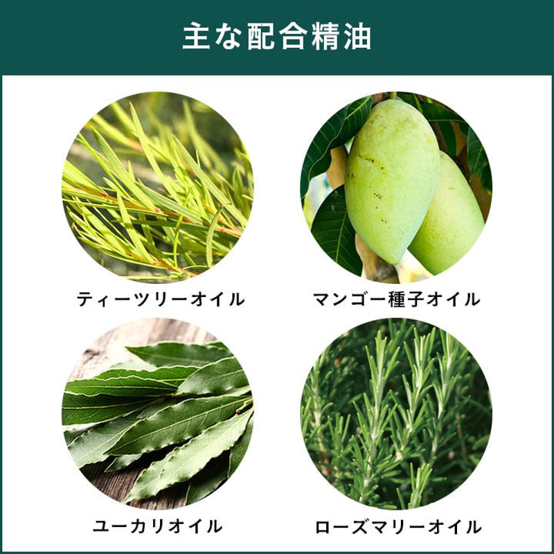 APDC ティーツリーシャンプー/コンディショナー お試し100ml/250ml