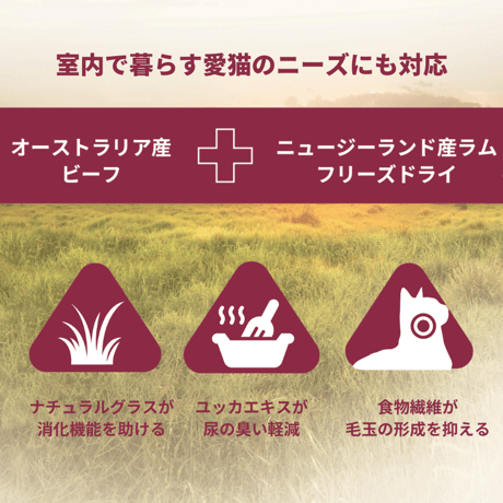 トリロジー ビーフ＆ラムフリーズドライ 300g/800g