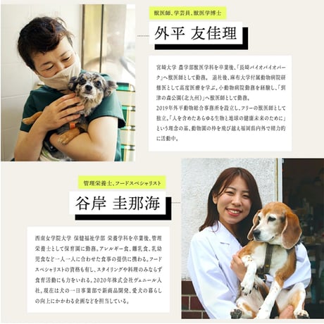 犬の一日 水出し薬膳ドリンク さかな/滋養  ５包