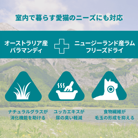トリロジー パラマンディ(白身魚)＆ラムフリーズドライ 300g/800g